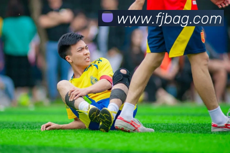 奖项证书